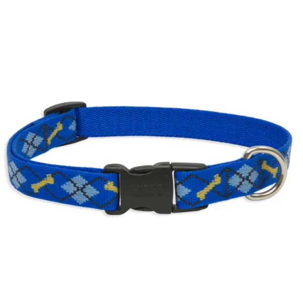 Lupine Adjustable Collar Dapper Dog 9-14 inch front view