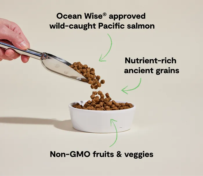 Open Farm Wild-Caught Salmon Ancient Grains ingredient callout