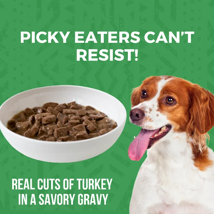 Koha Can Stew Gf Dog Food Trky Stew 12.7-oz
