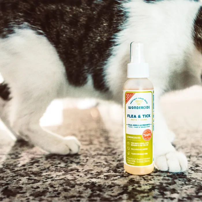 Wondercide Lemongrass Flea & Tick Spray 4-ounce beside cat