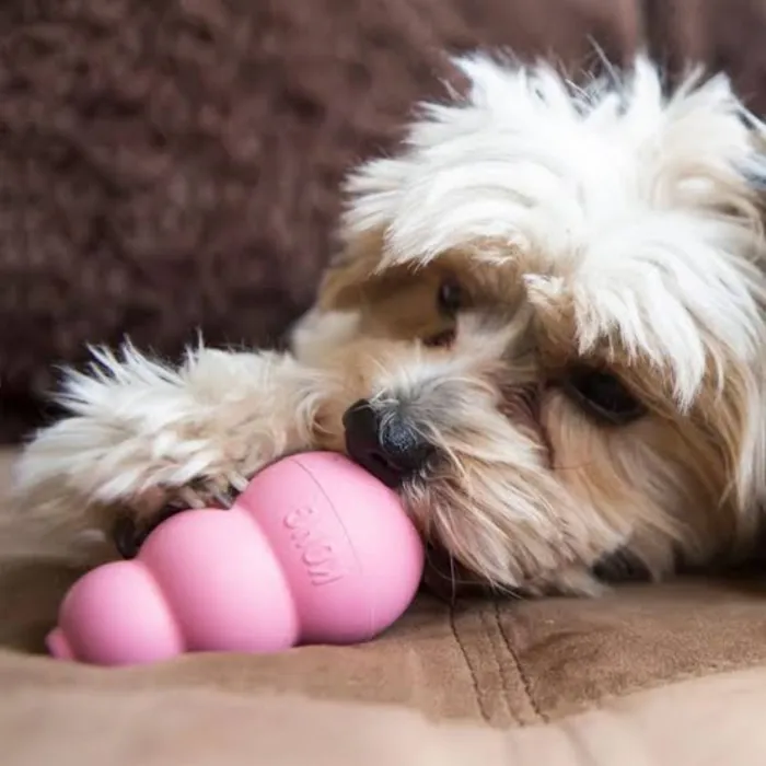 KONG Puppy Small pink toy lifestyle