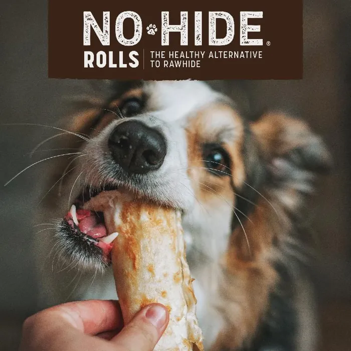 No-hide Easily Digestible Rawhide Alternative Salmon Flavor Dog Chews 4" - 2-pack