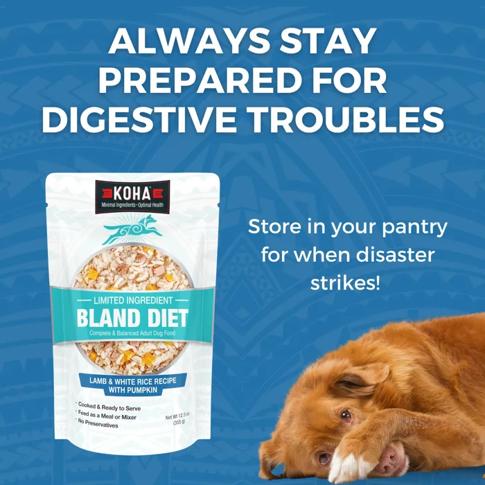 Koha Dog Bland Diet Lamb Pouch 12.5-oz