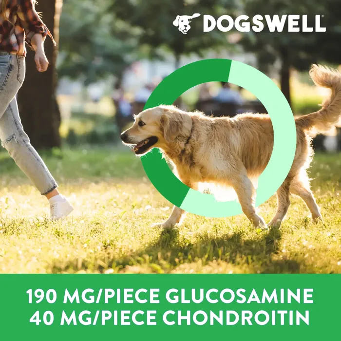 Dogswell Hip & Joint Bacon joint support graphic
