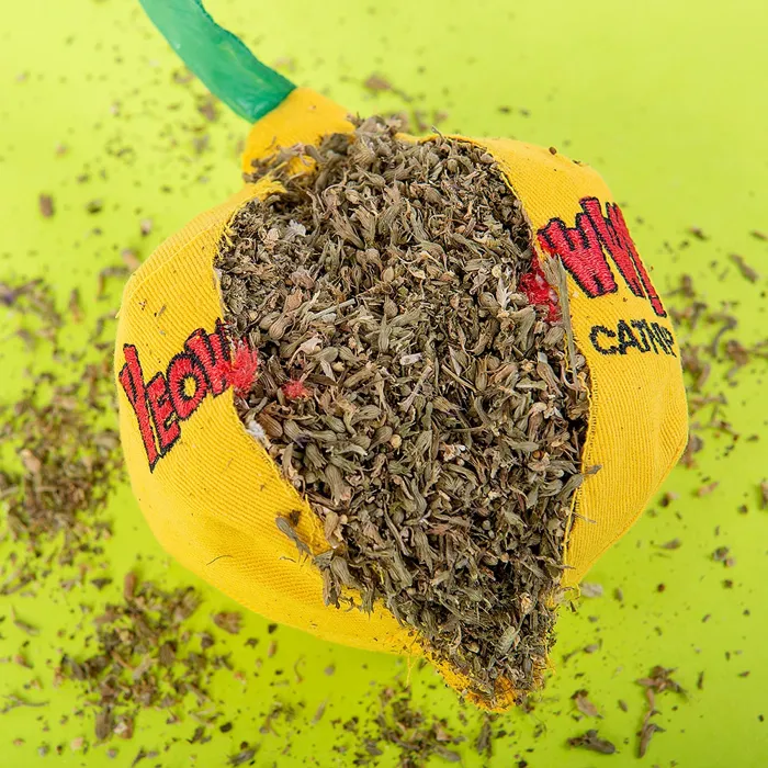 Yeowww! Sour Pusss Lemon catnip toy contents view