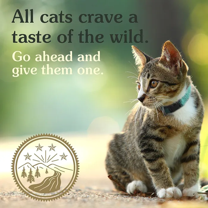 Canyon River Grain-free Canned Cat Food 3-oz