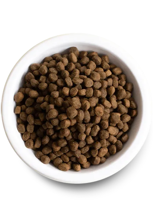 Open Farm Dog Ancient Grains Harvest Chicken 4-lb