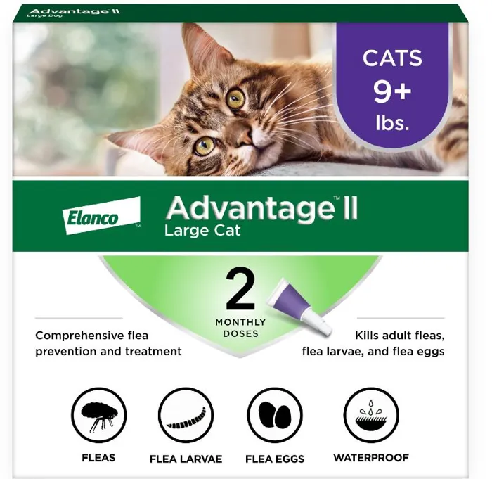 Advantage Ii Cat 9+ Large 2 Pack