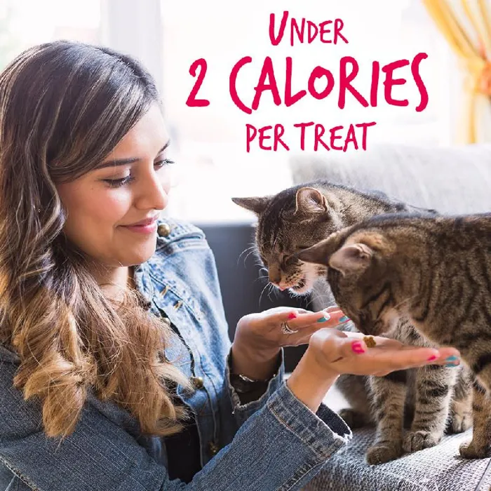 Fruitables Cat Treats Salmon/cranberry 2.5-oz