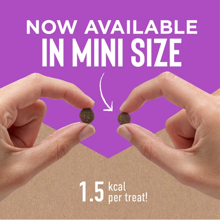 Cloud Star Tricky Trainers Mini Liver 5 oz size detail