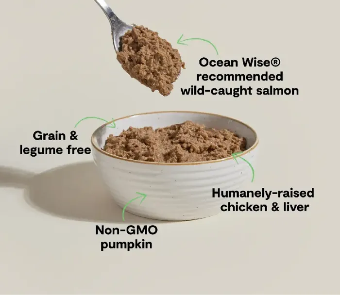 Open Farm Cat Chicken Salmon Pate Can 2.8-oz