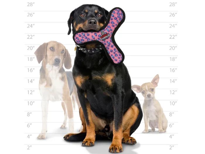 Ultimate Bowmerang Leopard Print-pink