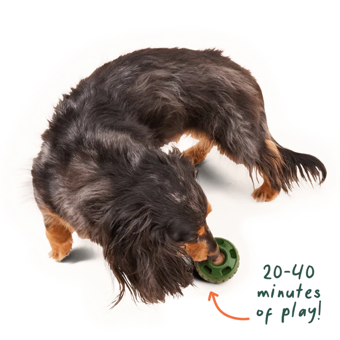 Woof Calming Pupsicle Pops Beef Grain-free Lickable Dog Treats 6-oz