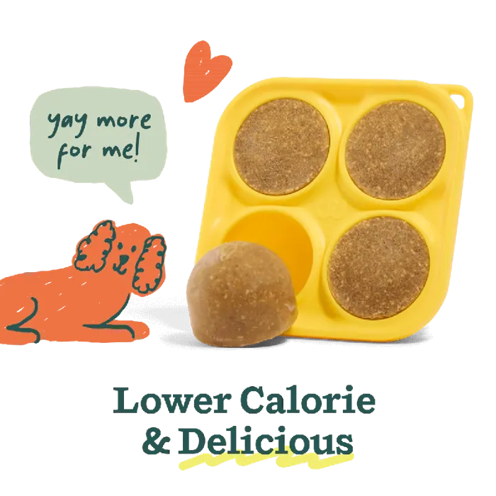 Woof Dog Treat Pupscicle Treat Mix Balanced Belly 5.5-oz