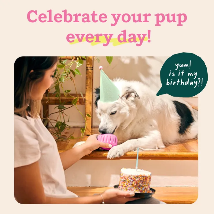 Woof Party Pink Pupsicle birthday play with dog