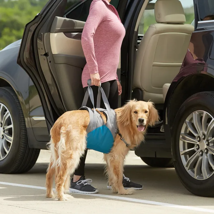 Kurgo Up & About Dog Lifter car lifting lifestyle