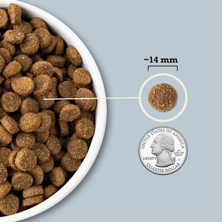 Acana Dog Wholesome Grains Sea to Stream 22.5-lbs
