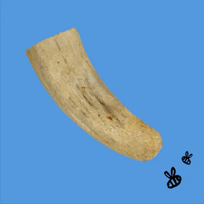 Honey Im Home Dog Treat Gf Buffalo Horn Core Bulk