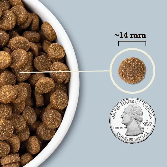 Acana Dog Wholesome Grains Sea to Stream 22.5-lbs