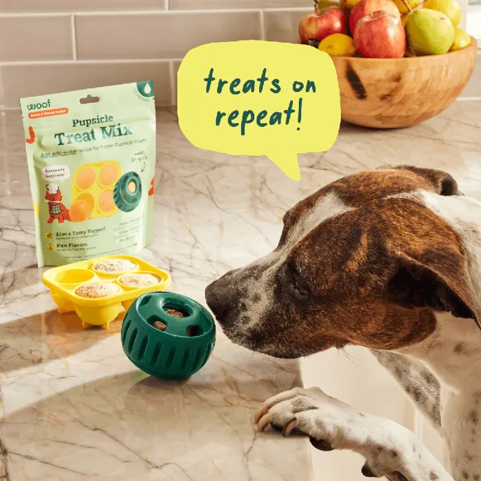 Woof Pupsicle Treat Mix Bacon/ Cheese 5.5-oz