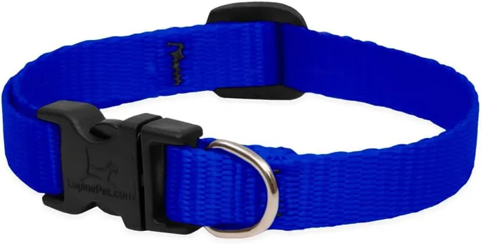 Lupine Basics Blue collar 8-12 inch reverse view