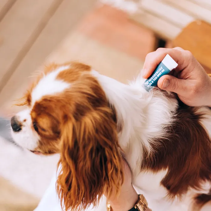 Wondercide Flea Tick Spot On For Cats Peppermint