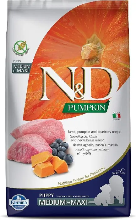 Filled Bone Pumpkin & Coconut 3"