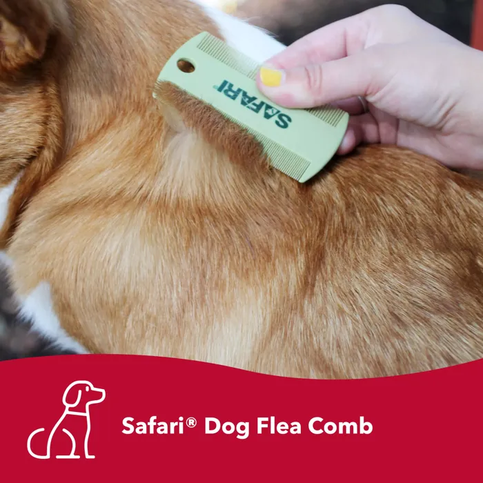Coastal Safari Double Sided Flea Comb grooming dog