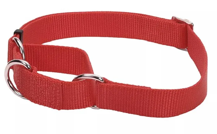 Martingale Adjustable Dog Collar With Buckle - Red Xlrg 1" X 22" 29"