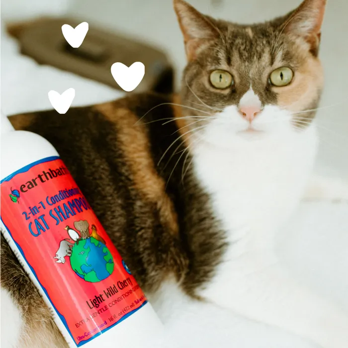 Earthbath Light Wild Cherry Cat Shampoo with cat lifestyle