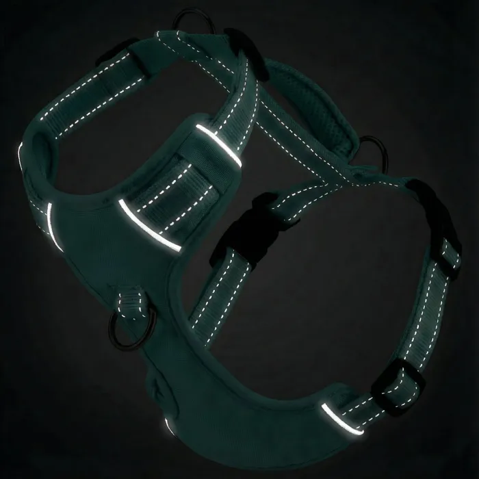 Bay Dog Chesapeake Dog Harness Sea Foam Large reflective view