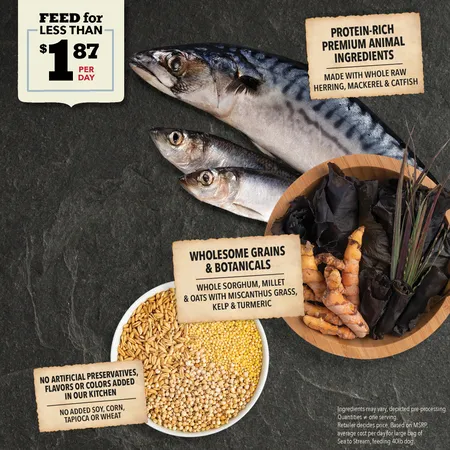 Acana Dog Wholesome Grains Sea to Stream 22.5-lbs