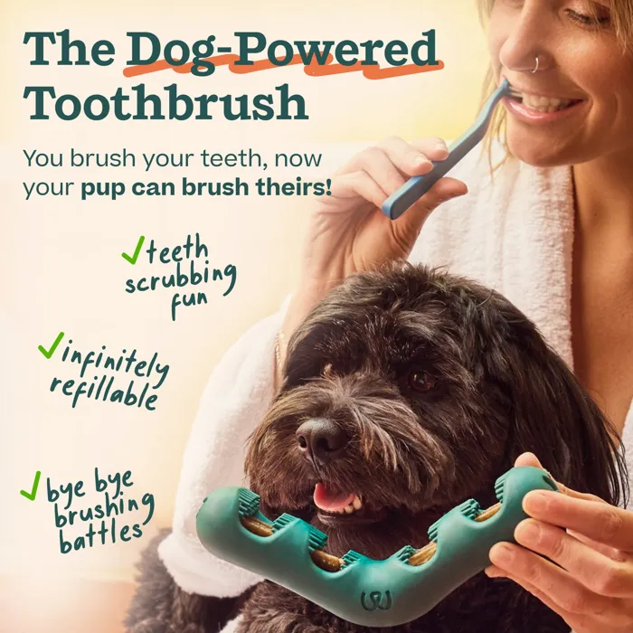 Woof Bite n’ Brush Large dog-powered brushing lifestyle