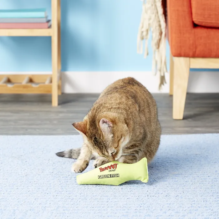 Yeowww! Green Fish catnip toy 7-inch kitten view