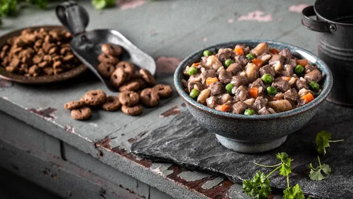 Fromm Dog Can Frommbalaya Lamb, Veg & Rice Stew 12.5-oz