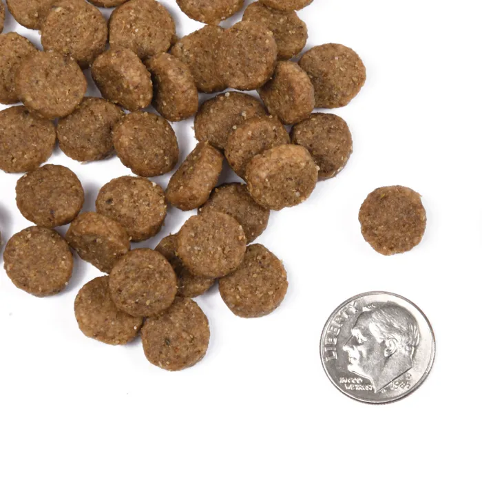 Fromm Classic Adult Dog Food kibble with dime