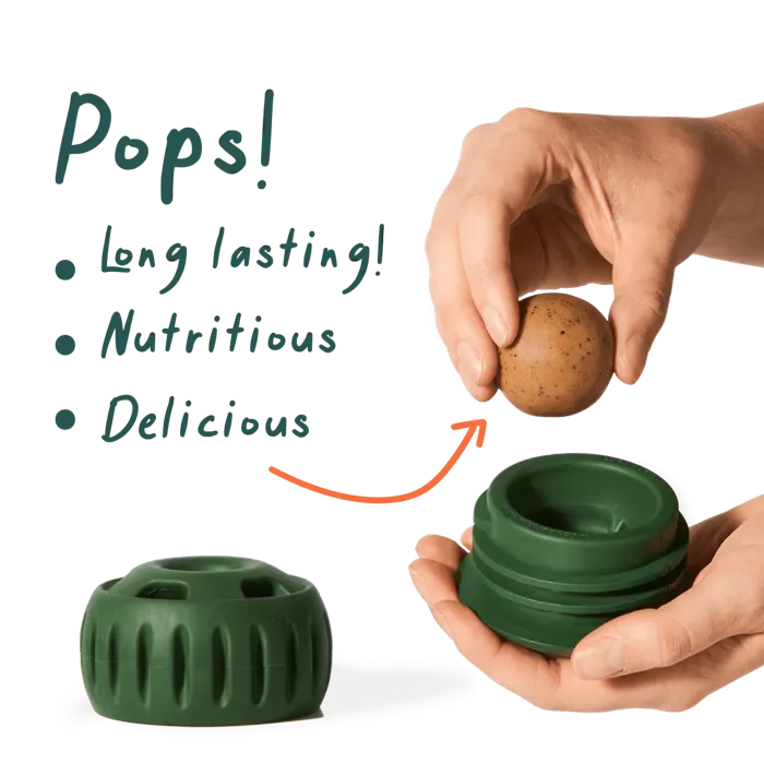 Woof Pops Small Treat Chicken Peanut Butter 6.5-oz