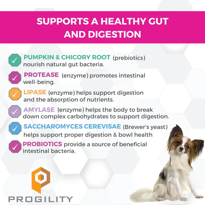 Nootie Progility Minis digestive support ingredients graphic