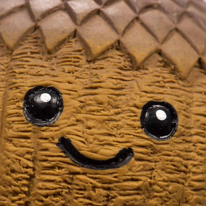 HuggleHounds Terho Acorn Ruff-Tex Ball face detail