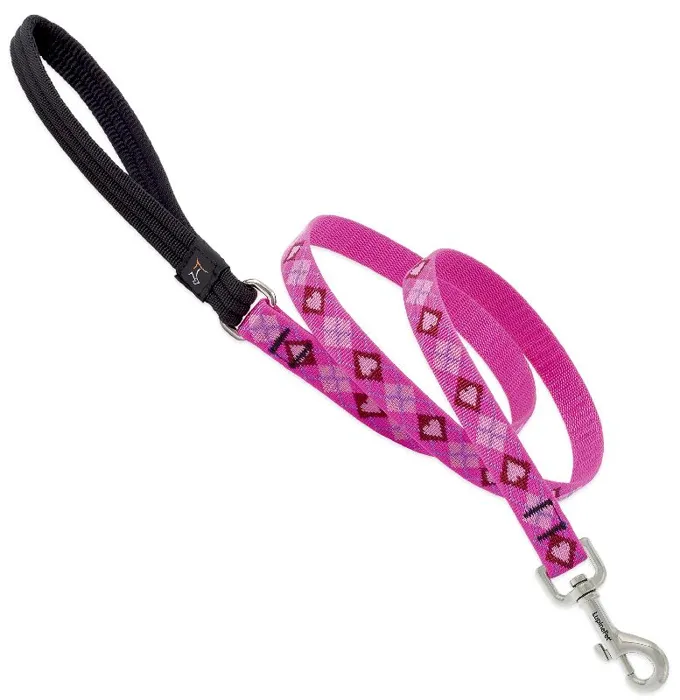 Lead 6' X 3/4" Puppy Love Pattern