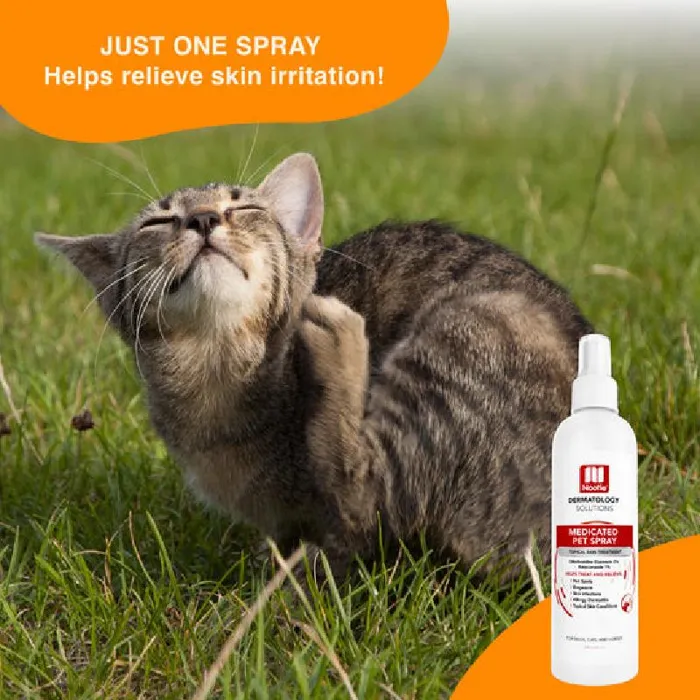 Nootie Antibacterial Spray 8 Oz