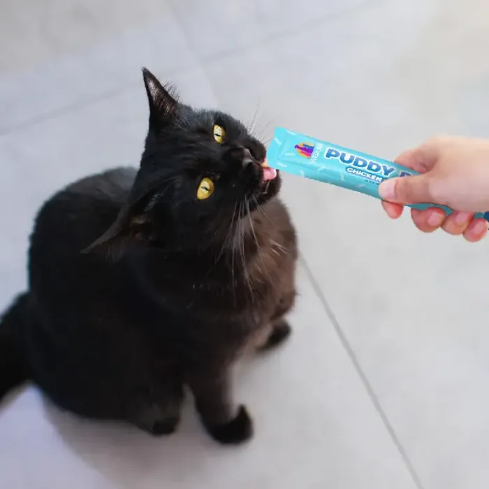 Weruva Puddy Pops Tuna & Salmon cat feeding lifestyle