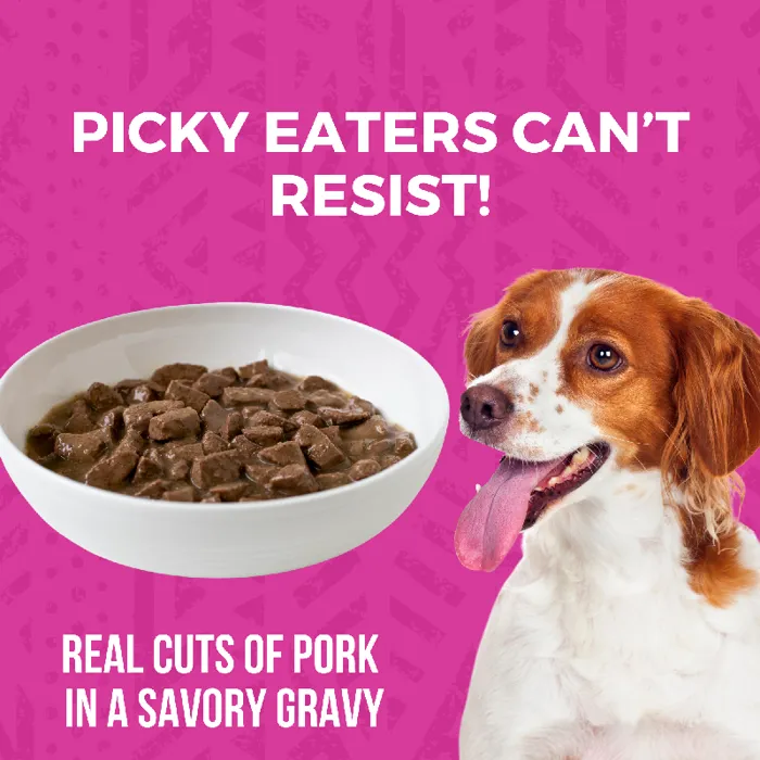 Koha Can Stew Gf Dog Food Pork Stew 12.7-oz