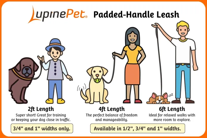 Lupine Basic Solids black 6-foot leash length guide