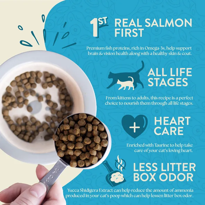 Earthborn Holistic Wild Sea Catch kibble benefits