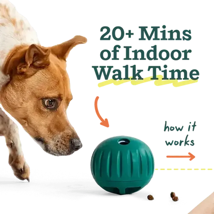Woof Walkabout Large rolling dog toy indoor exercise