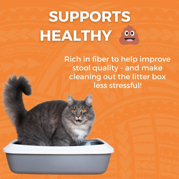 Koha Cat Bland Diet Chicken Rice Pumpkin 2.8-oz
