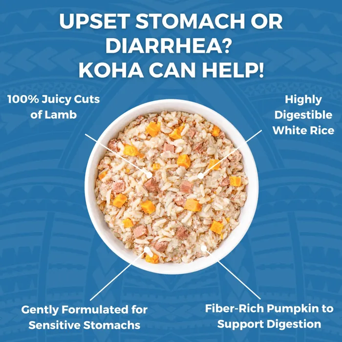 Koha Dog Bland Diet Lamb Pouch 12.5-oz