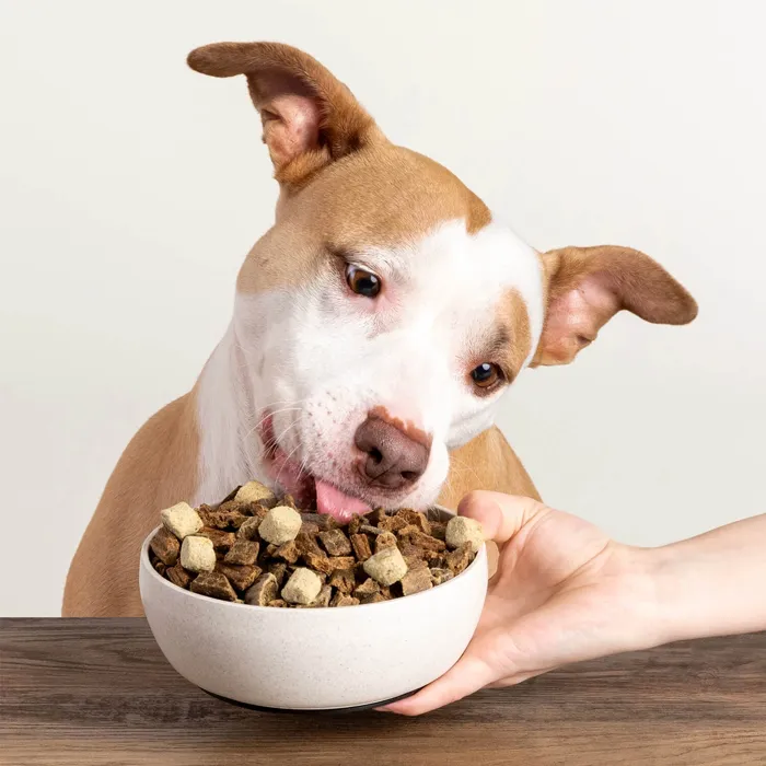 Badlands Ranch Superfood Nuggets Beef Tripe Kale dog topper