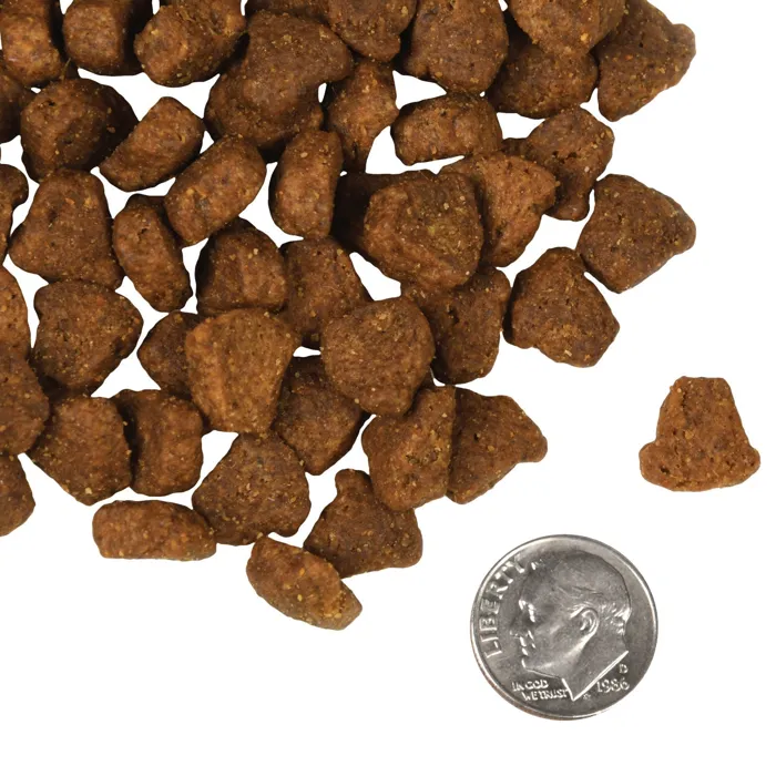 Fromm Rancherosa dog food kibble with dime scale